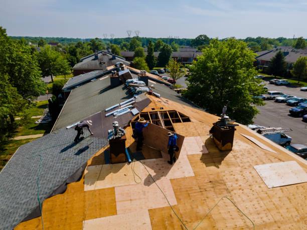 Best Flat Roof Repair Services  in Georgetown, OH