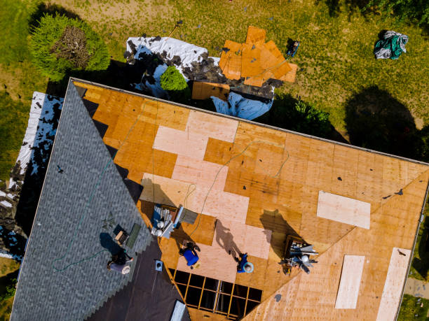 Best Storm Damage Roof Repair  in Georgetown, OH